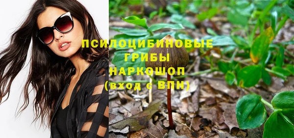 mdpv Приозерск